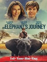 An Elephant’s Journey